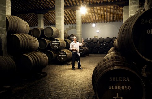 Bodegas Tradición